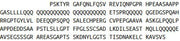 Recombinant Androgen Receptor (AR), RPU40237