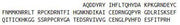 Recombinant Angiogenin (ANG), RPU40242