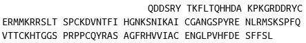 Recombinant Angiogenin (ANG), RPU40243
