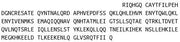 Recombinant Angiopoietin 1 (ANGPT1), RPU40252