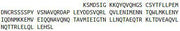 Recombinant Angiopoietin 2 (ANGPT2), RPU40254