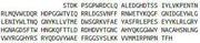 Recombinant Angiopoietin Like Protein 2 (ANGPTL2), RPU40264