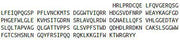 Recombinant Angiopoietin Like Protein 4 (ANGPTL4), RPU40270