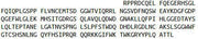 Recombinant Angiopoietin Like Protein 4 (ANGPTL4), RPU40272