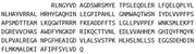 Recombinant Angiotensin I Converting Enzyme (ACE), RPU40279