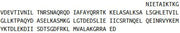Recombinant Annexin A2 (ANXA2), RPU40298