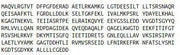 Recombinant Annexin V (ANXA5), RPU40315