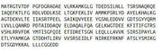 Recombinant Annexin V (ANXA5), RPU40316