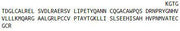 Recombinant Anti-Mullerian Hormone (AMH), RPU40323