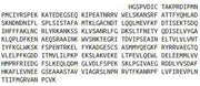 Recombinant Antithrombin (AT), RPU40324