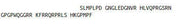 Recombinant Apelin (APLN), RPU40329