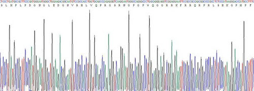 Recombinant Human Apelin (APLN)