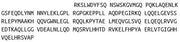Recombinant Apolipoprotein A5 (APOA5), RPU40342