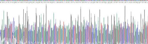 Recombinant Mouse Apolipoprotein A5 (APOA5)