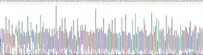 Recombinant Mouse Apolipoprotein C2 (APOC2)