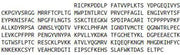 Recombinant Apolipoprotein H (APOH), RPU40365