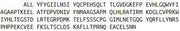 Recombinant Apolipoprotein M (APOM), RPU40366