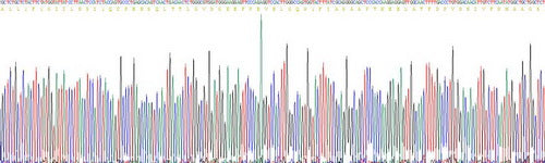 Recombinant Human Apolipoprotein M (APOM)