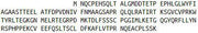 Recombinant Apolipoprotein M (APOM), RPU40367