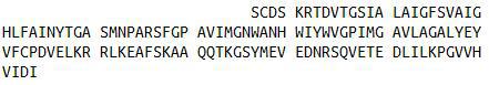 Recombinant Aquaporin 4 (AQP4), RPU40376