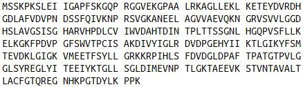 Recombinant Arginase (ARG), RPU40381