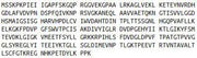 Recombinant Arginase (ARG), RPU40382