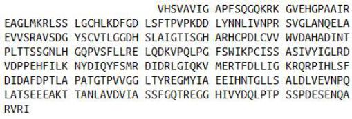 Recombinant Arginase II (Arg2), RPU40383