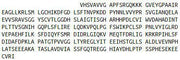 Recombinant Arginase II (Arg2), RPU40384