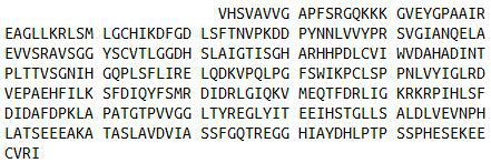 Recombinant Arginase II (Arg2), RPU40384