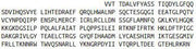 Recombinant Aryl Hydrocarbon Receptor (AhR), RPU40391