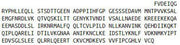 Recombinant Baculoviral IAP Repeat Containing Protein 2 (BIRC2), RPU40421