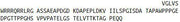 Recombinant B-Cell Activation Factor Receptor (BAFFR), RPU40425