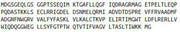 Recombinant Bcl2 Associated X Protein (Bax), RPU40440