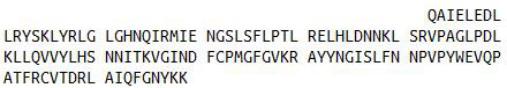 Recombinant Biglycan (BGN), RPU40466