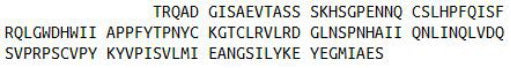 Recombinant Bone Morphogenetic Protein 15 (BMP15), RPU40483