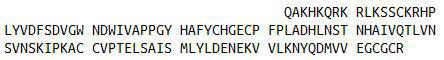 Recombinant Bone Morphogenetic Protein 2 (BMP2), RPU40486