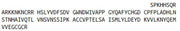 Recombinant Bone Morphogenetic Protein 4 (BMP4), RPU40496