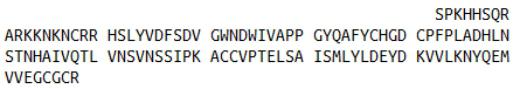 Recombinant Bone Morphogenetic Protein 4 (BMP4), RPU40496