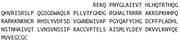Recombinant Bone Morphogenetic Protein 4 (BMP4), RPU40497