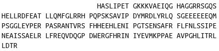 Recombinant Bone Morphogenetic Protein 4 (BMP4), RPU40499