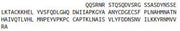 Recombinant Bone Morphogenetic Protein 6 (BMP6), RPU40507