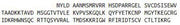 Recombinant Brain Derived Neurotrophic Factor (BDNF), RPU40516