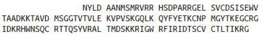 Recombinant Brain Derived Neurotrophic Factor (BDNF), RPU40516
