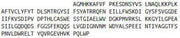 Recombinant C Reactive Protein (CRP), RPU40532