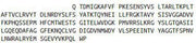 Recombinant C Reactive Protein (CRP), RPU40533