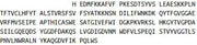 Recombinant C Reactive Protein (CRP), RPU40535