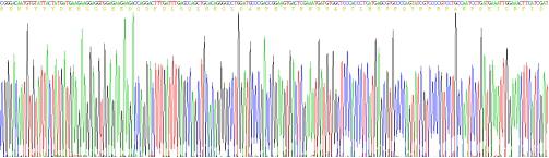 Recombinant Mouse E-cadherin