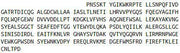Recombinant Calpain 1 (CAPN1), RPU40586