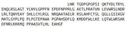 Figure 1. SDS-PAGE