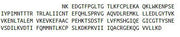 Recombinant Caspase 1 (CASP1), RPU40659